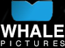 Whale pictures